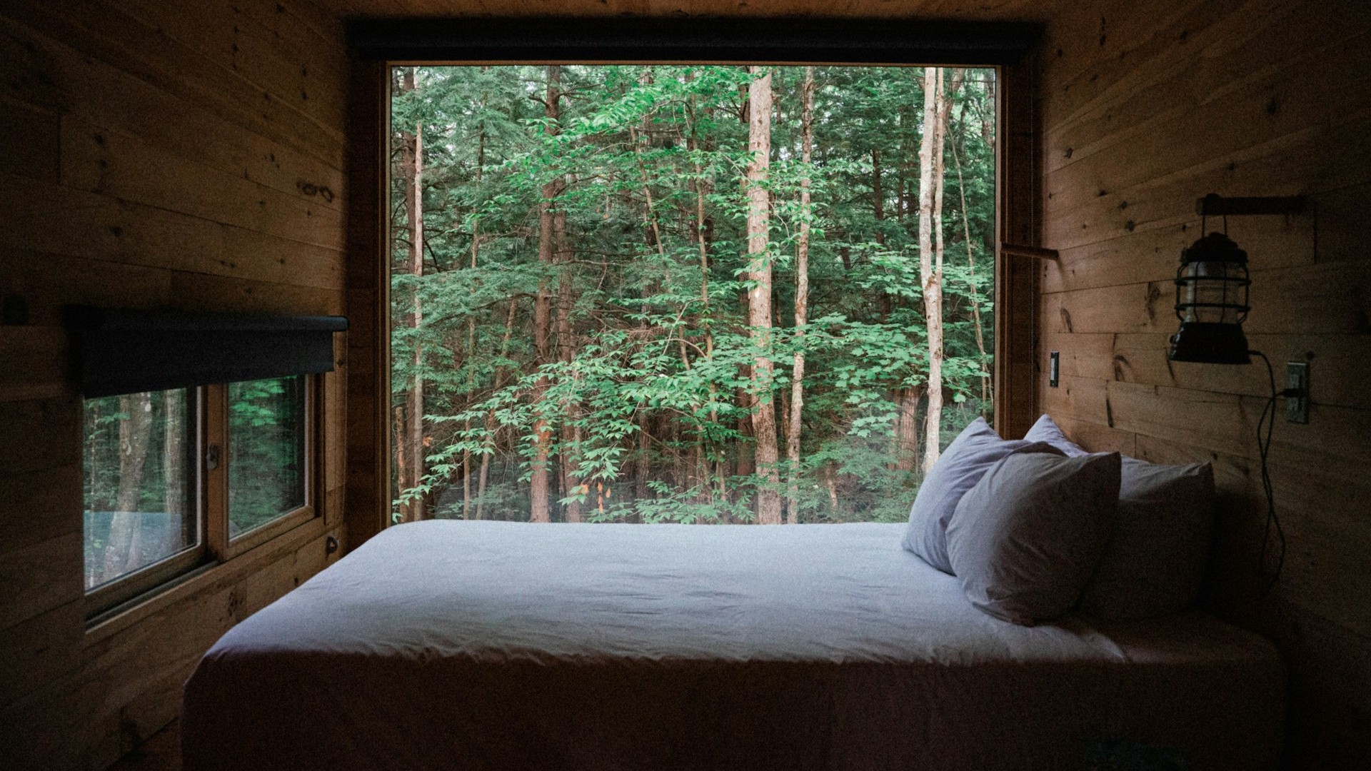 Ленобласть вошла в тройку лидеров по объему бронирований глэмпингов в России