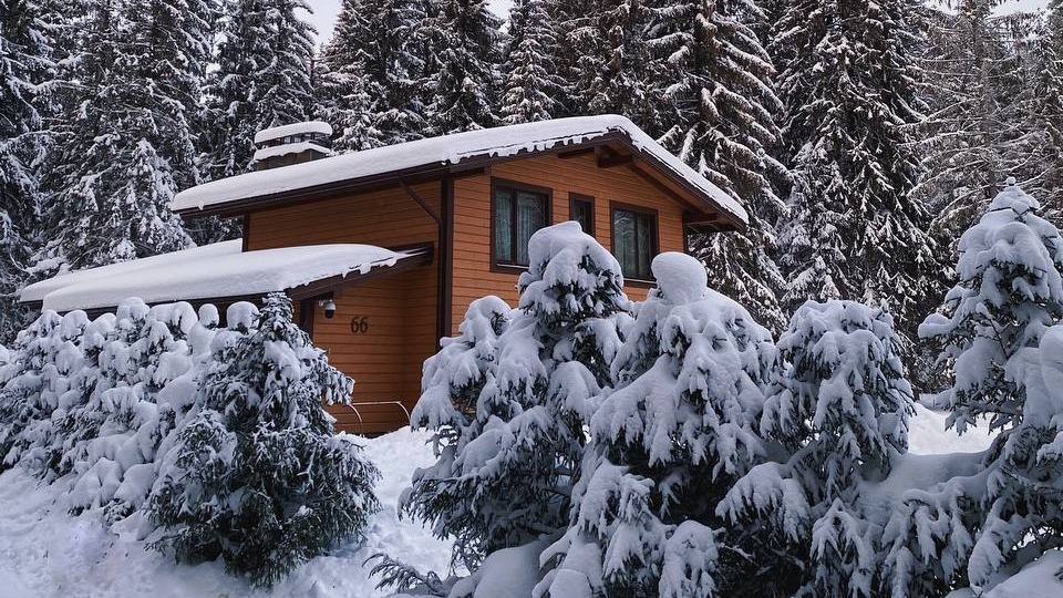 В Ленобласти упал спрос на просторные загородные дома