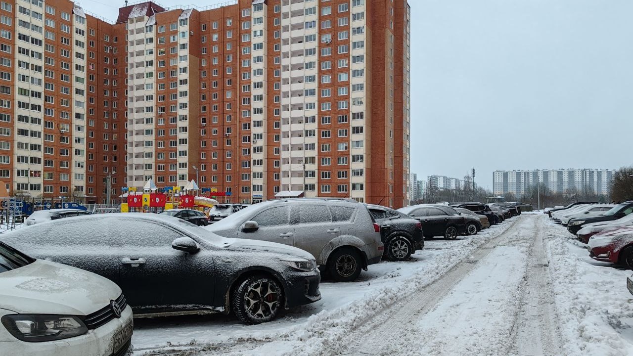 Границы газонов могут добавить в навигаторы в Петербурге из-за «снежных» штрафов