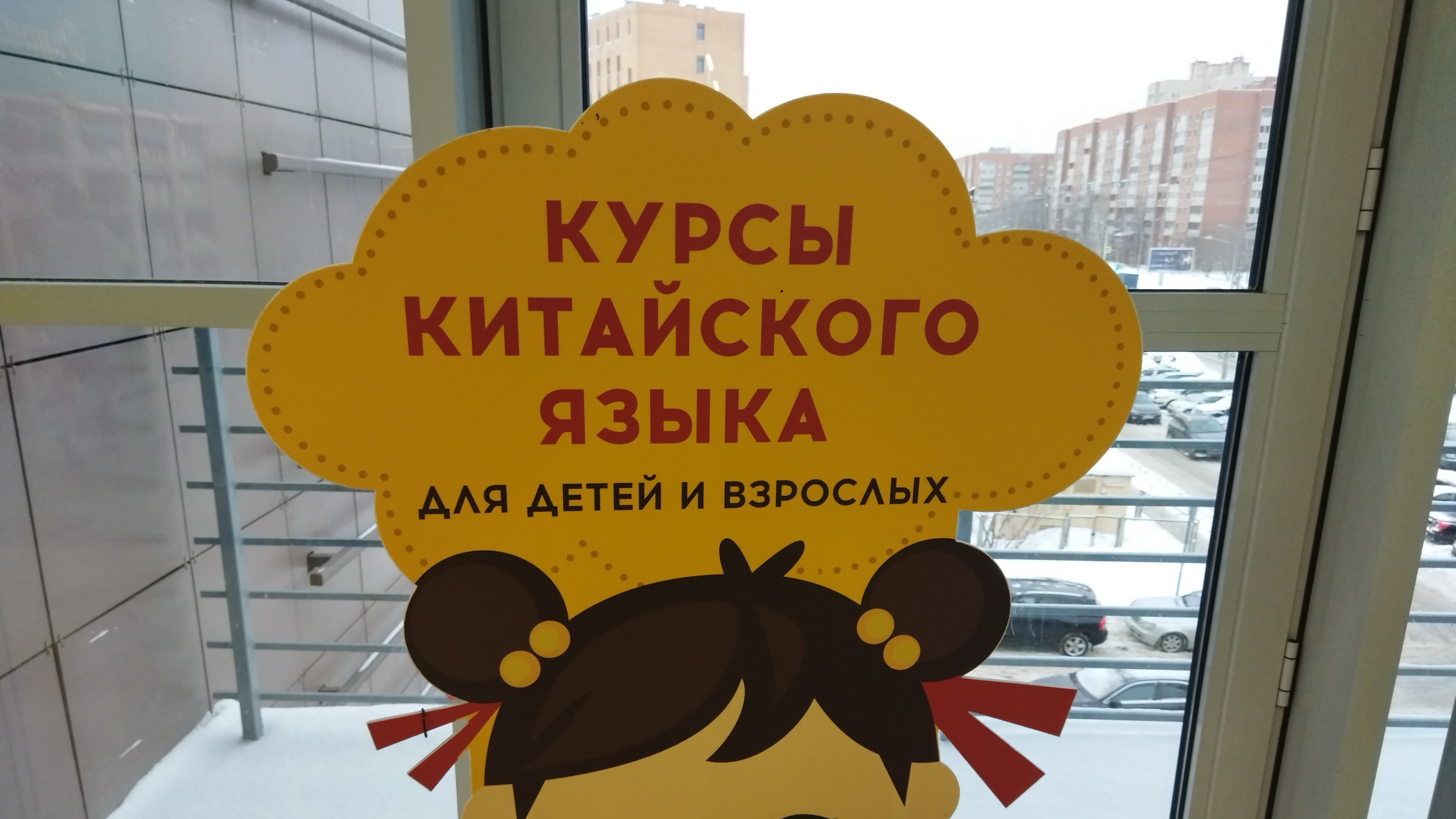 Выучить китайский язык в 2026 году планируют 13% жителей Петербурга