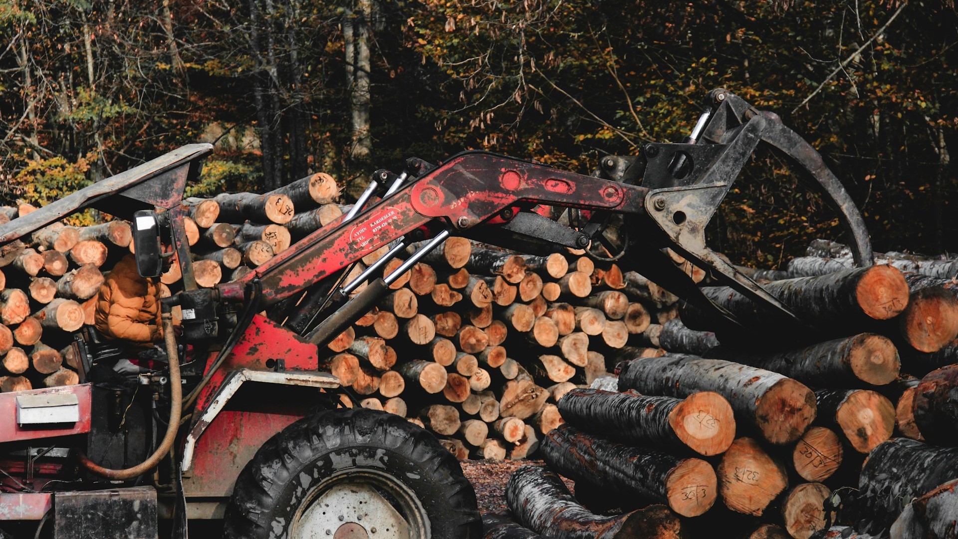 В России число компаний с иранским участием выросло вчетверо с 2022 года