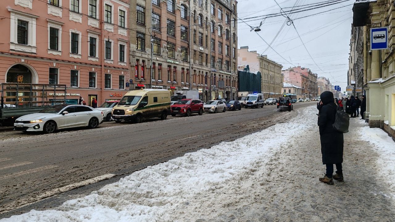 Эффект исполнителя: в Смольном объяснили случаи тотальной засыпки улиц солью
