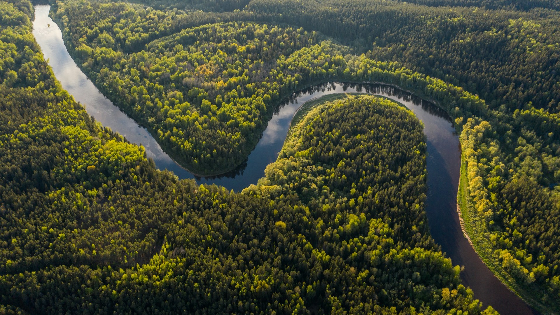 Приключения на Алтае и в джунглях Амазонки: глэмпинг, экстрим и дикая природа