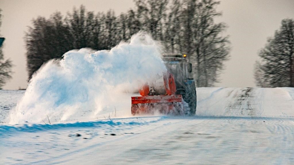 В Ленобласти нашли креативный способ уборки улиц