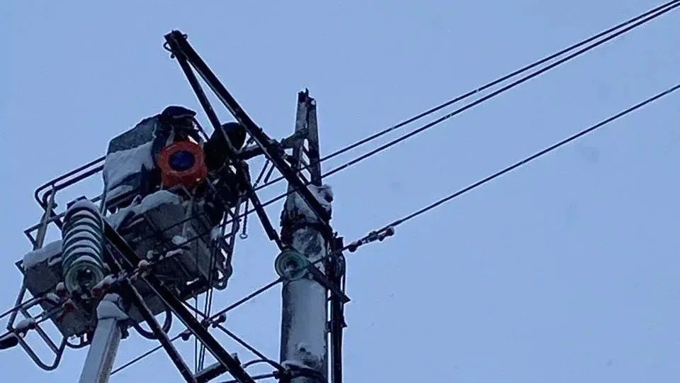 Повреждение ЛЭП стало причиной отключения света в садоводствах Ленобласти