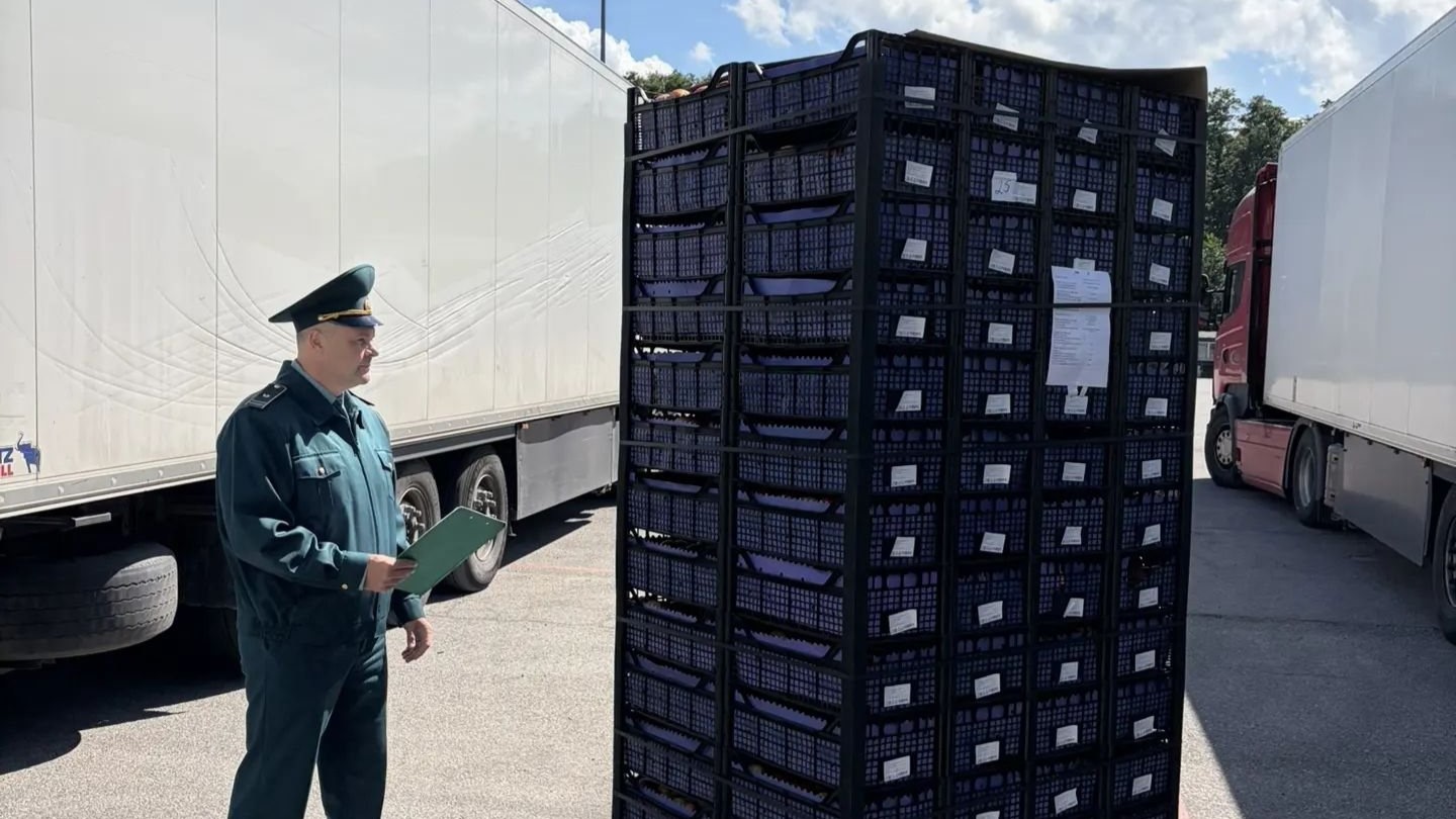 В Петербурге зафиксирован рост ввоза плодоовощной продукции из-за рубежа