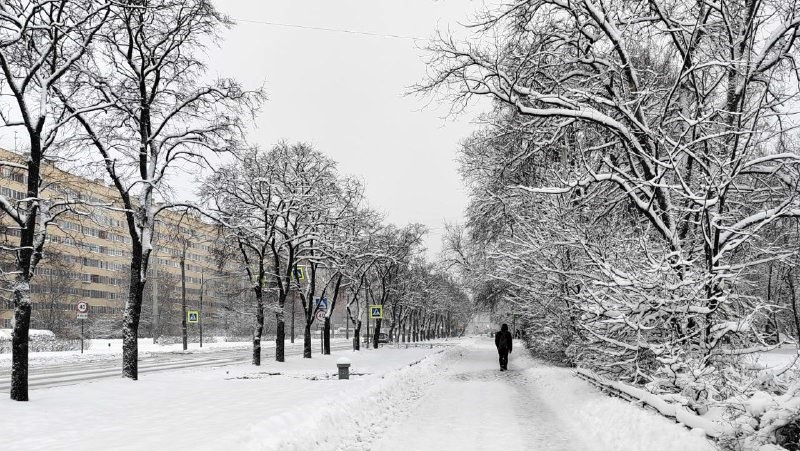 Депутаты Заксобрания Петербурга продолжают «зимний» спор о реагентах