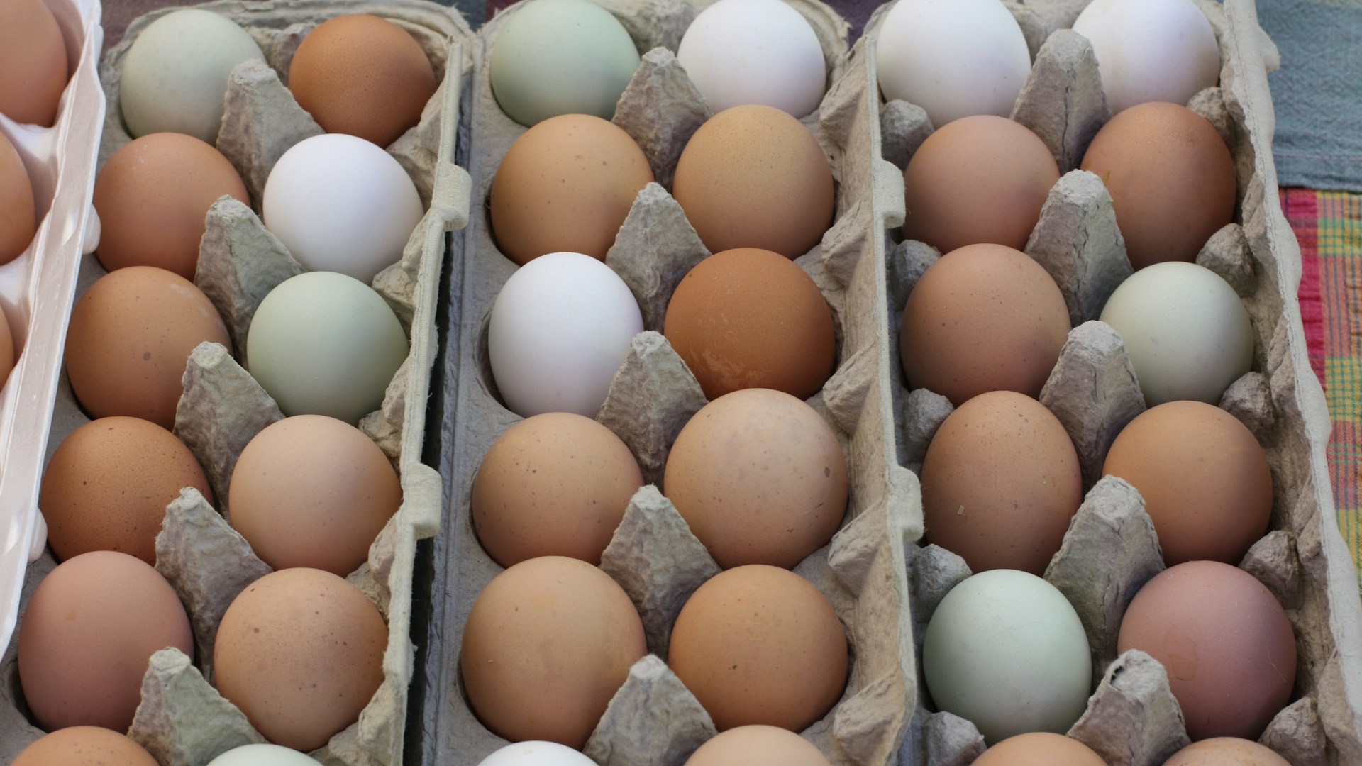 В ГД разрабатывают меры регулирования закупочных цен на главные продукты питания