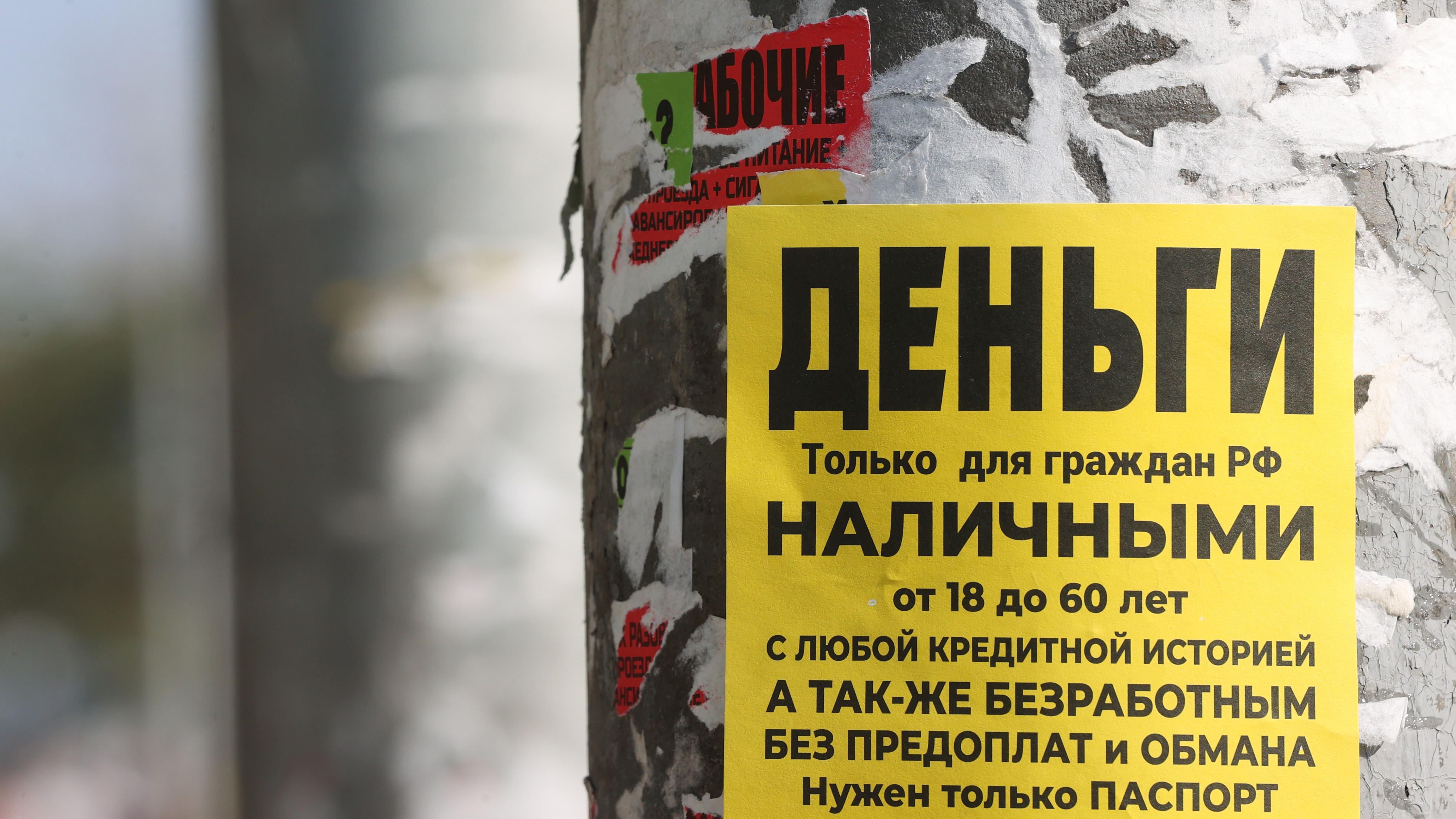 Число МФО превысило 800 компаний