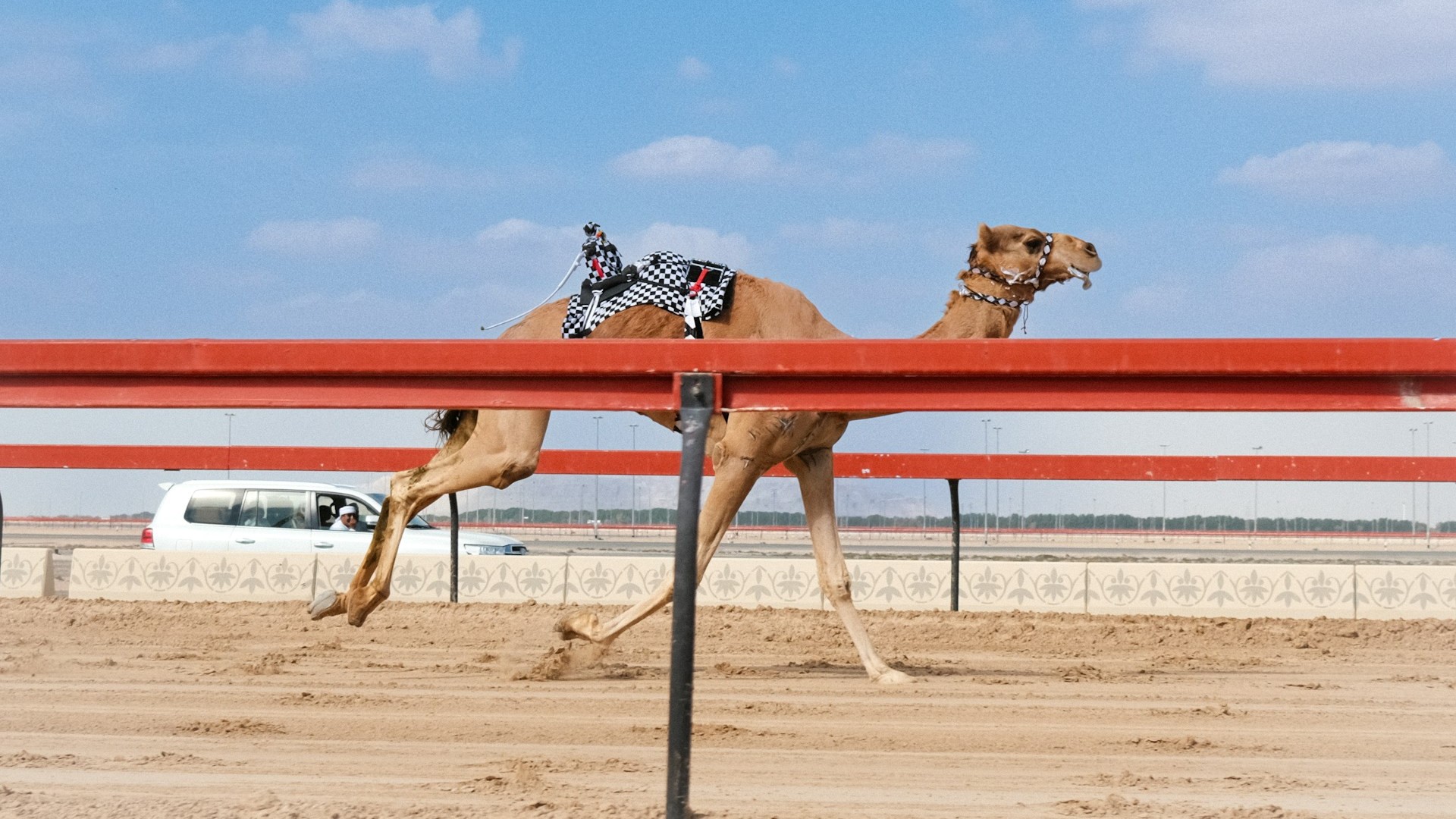 Старый новый поставщик формы для сборной России и верблюжьи бега как инвестиция