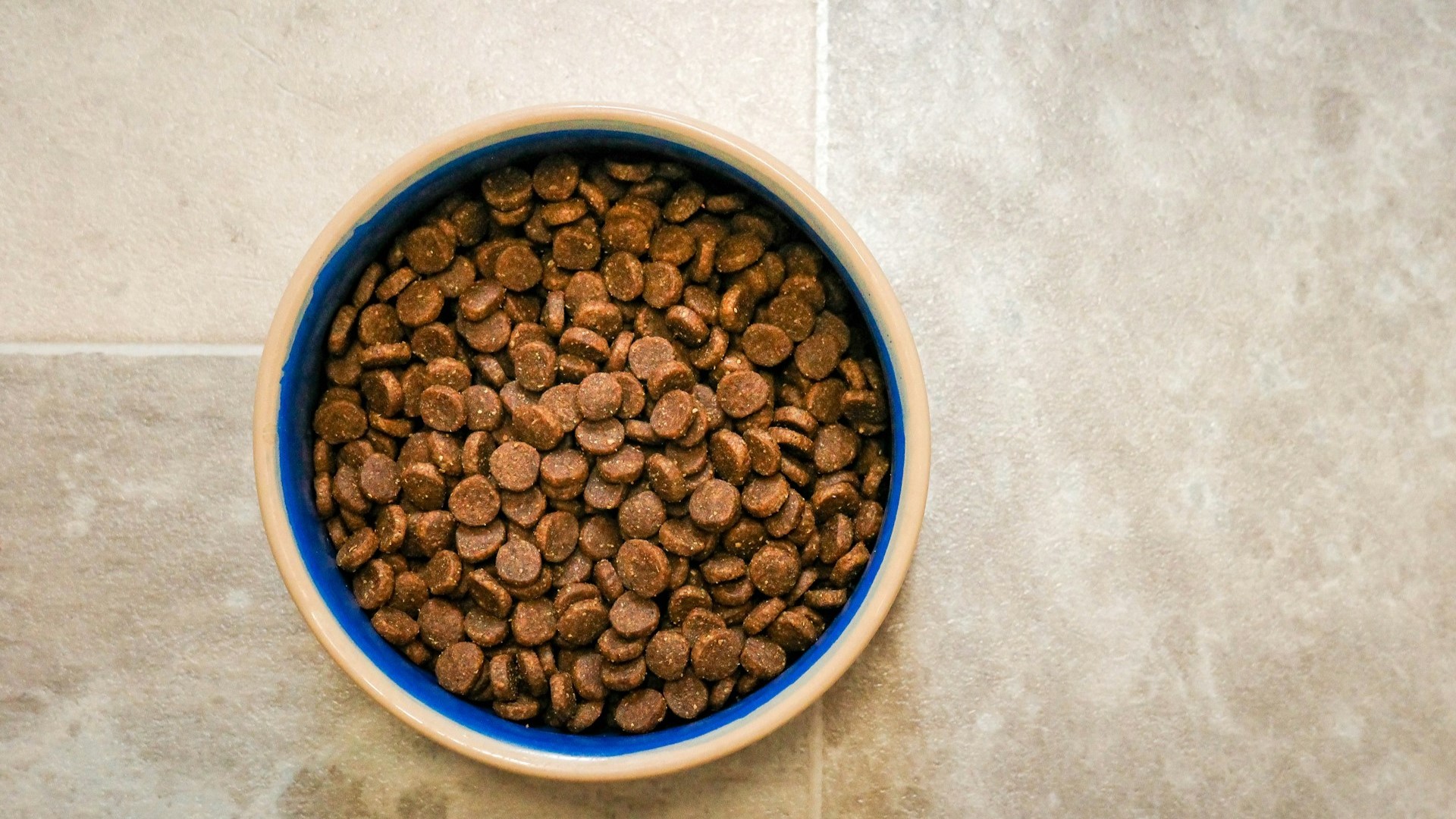 Петербург вошел в топ городов России по среднему чеку в зоомагазинах