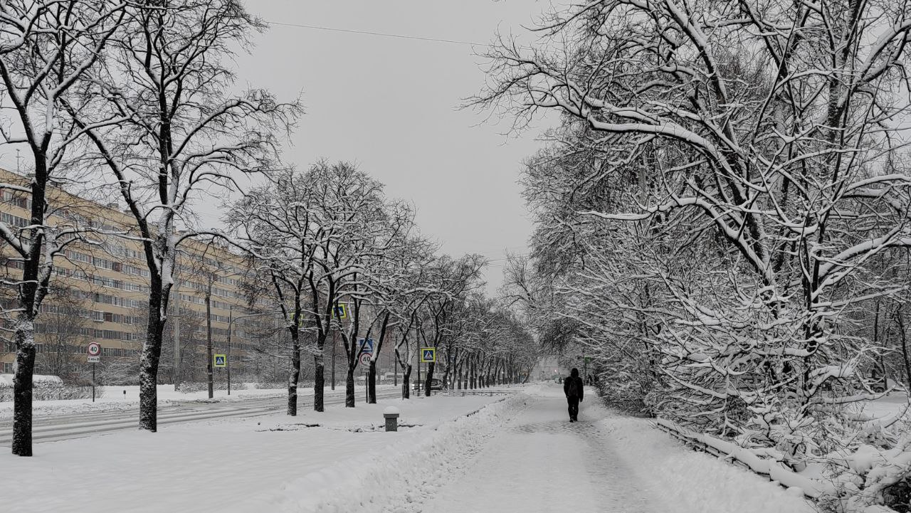 В Петербурге объявлен «желтый» уровень погодной опасности