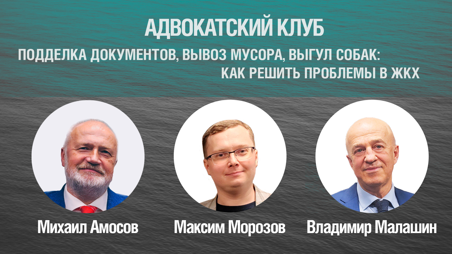 Подделка документов, вывоз мусора, выгул собак: как решить проблемы в ЖКХ