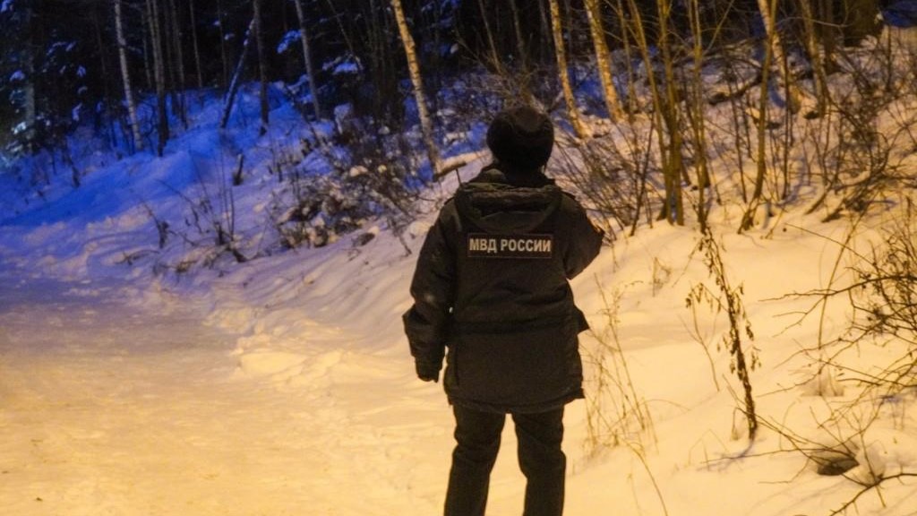 Юристы рассказали, как действовать при поиске пропавших родственников