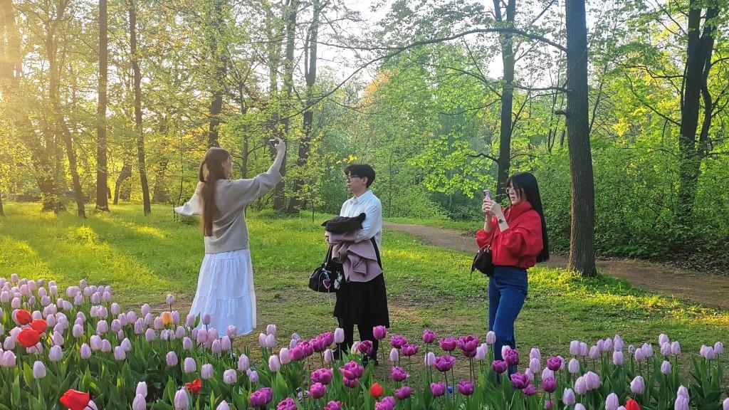 Эксперты обсудили меры поддержки туристов на случай перебоев со связью