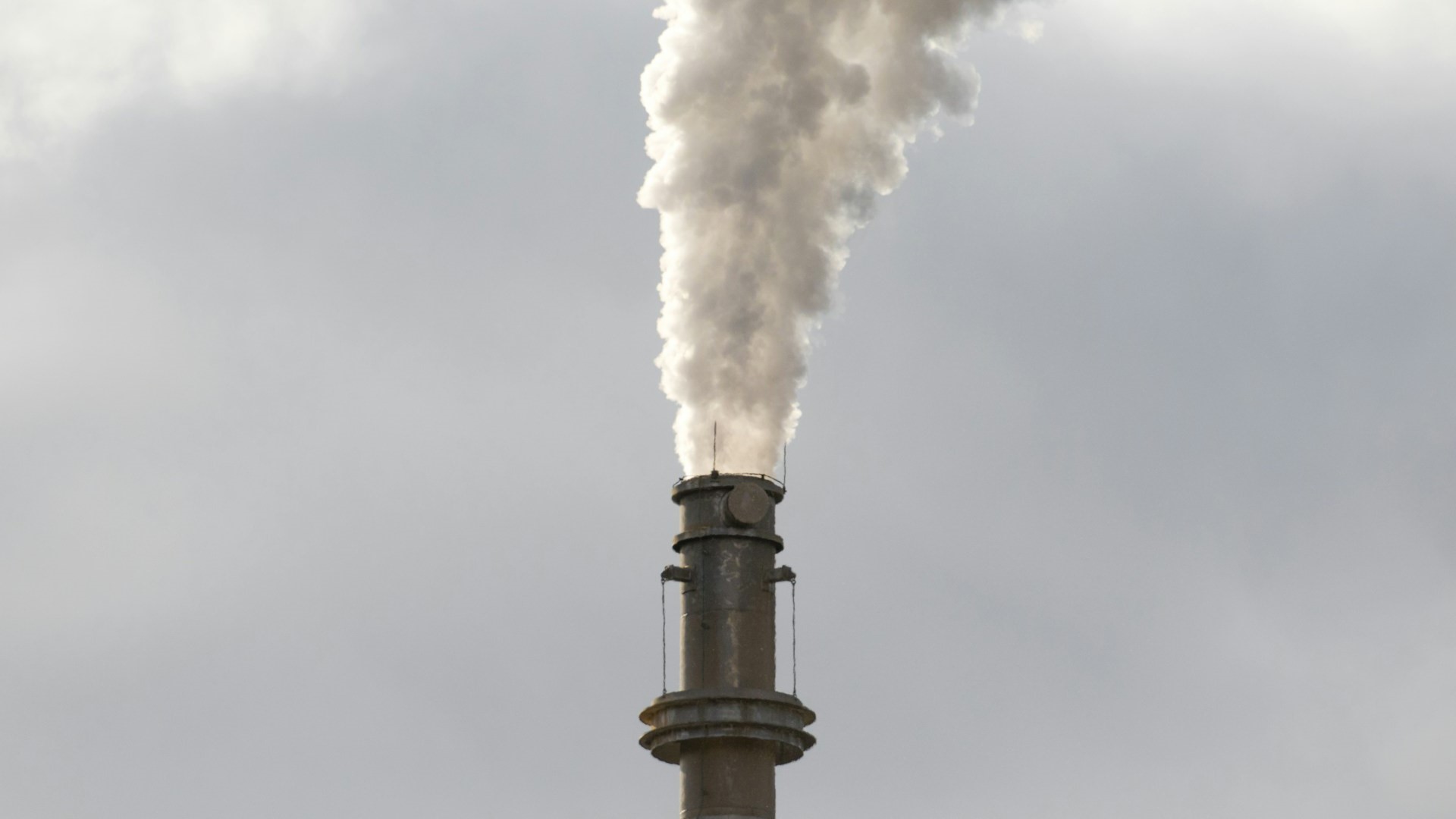 В Петербурге займутся включением запахов в перечень загрязняющих воздух веществ