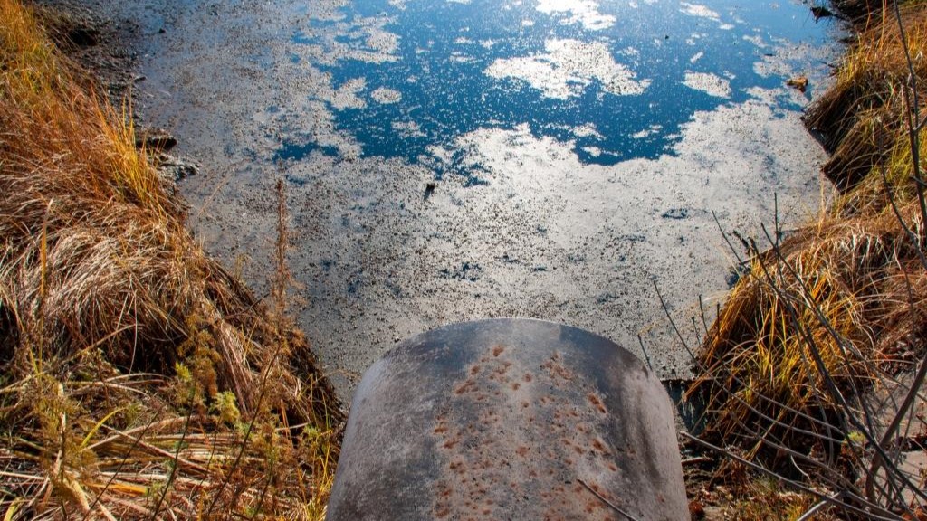 «Леноблводоканал» хотят привлечь к ответственности за неочищенные сточные воды