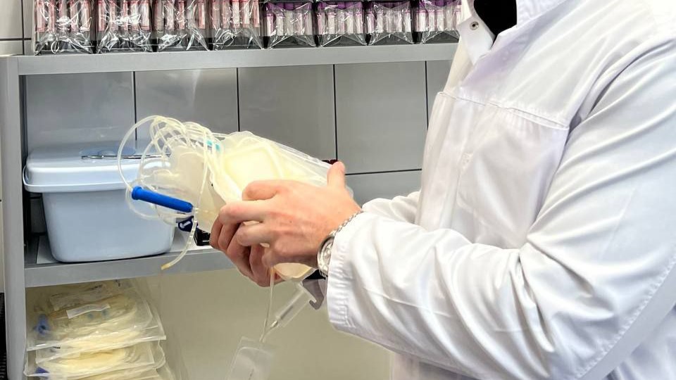 Эксперт: регистр доноров костного мозга в России крайне мал