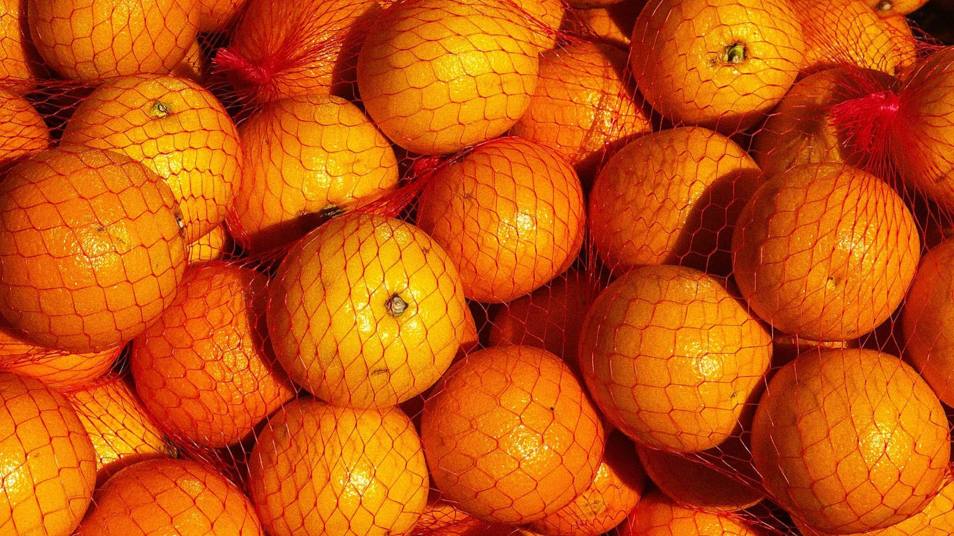 Почти 20 тонн мандаринов не пустили в Петербург из-за зараженности вредителем