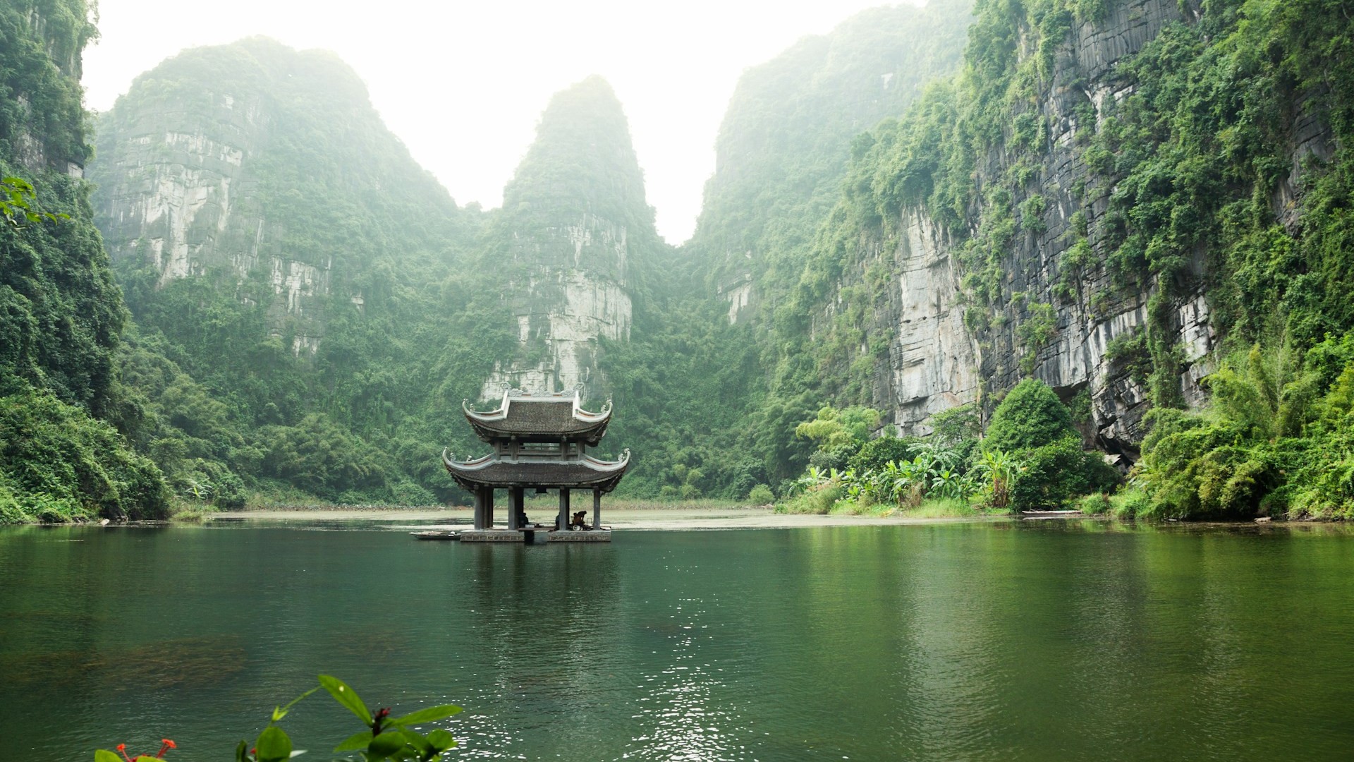 Джунгли Вьетнама и пустыни Иордании: приключения на любой вкус 