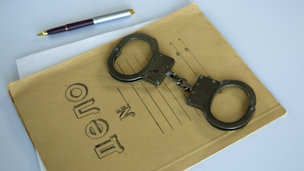 Эксперт: для оценки числа преступлений в Петербурге надо дождаться цифр от МВД