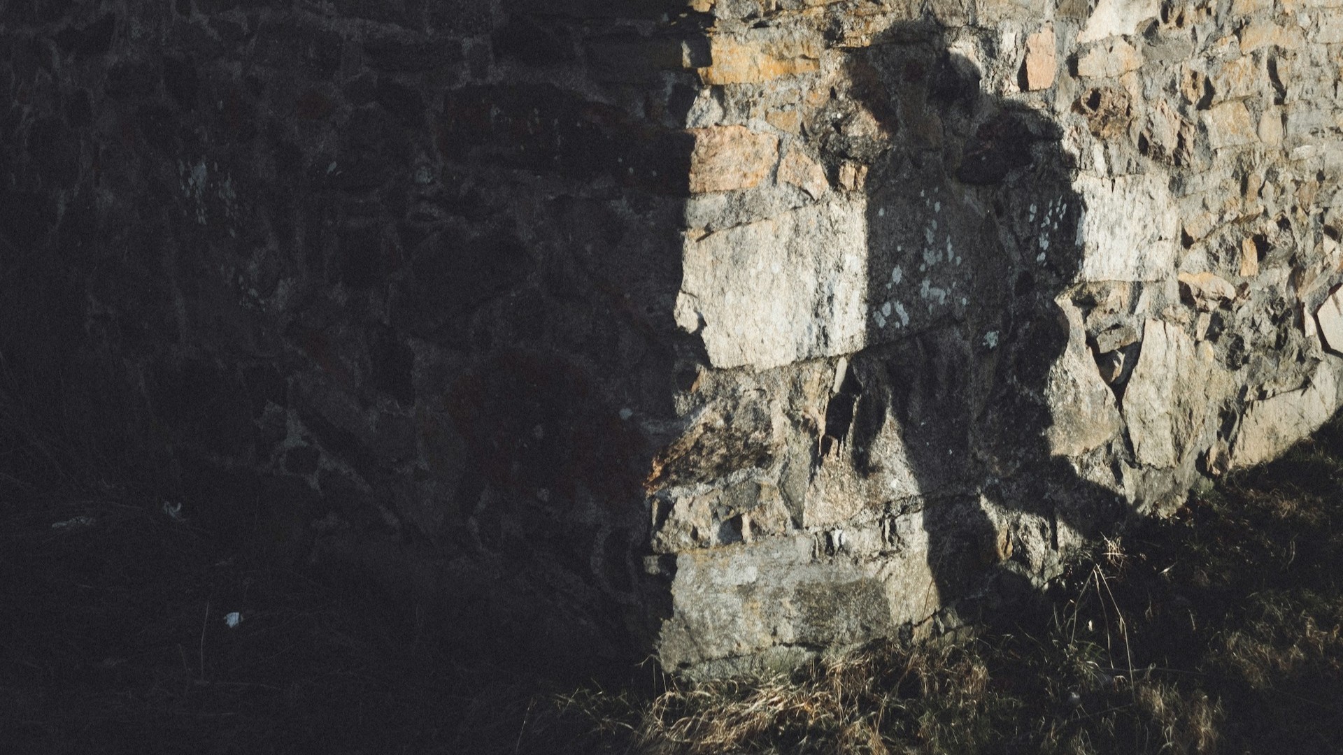 В Петербурге и Ленобласти запустят пилотный проект по борьбе со сталкингом
