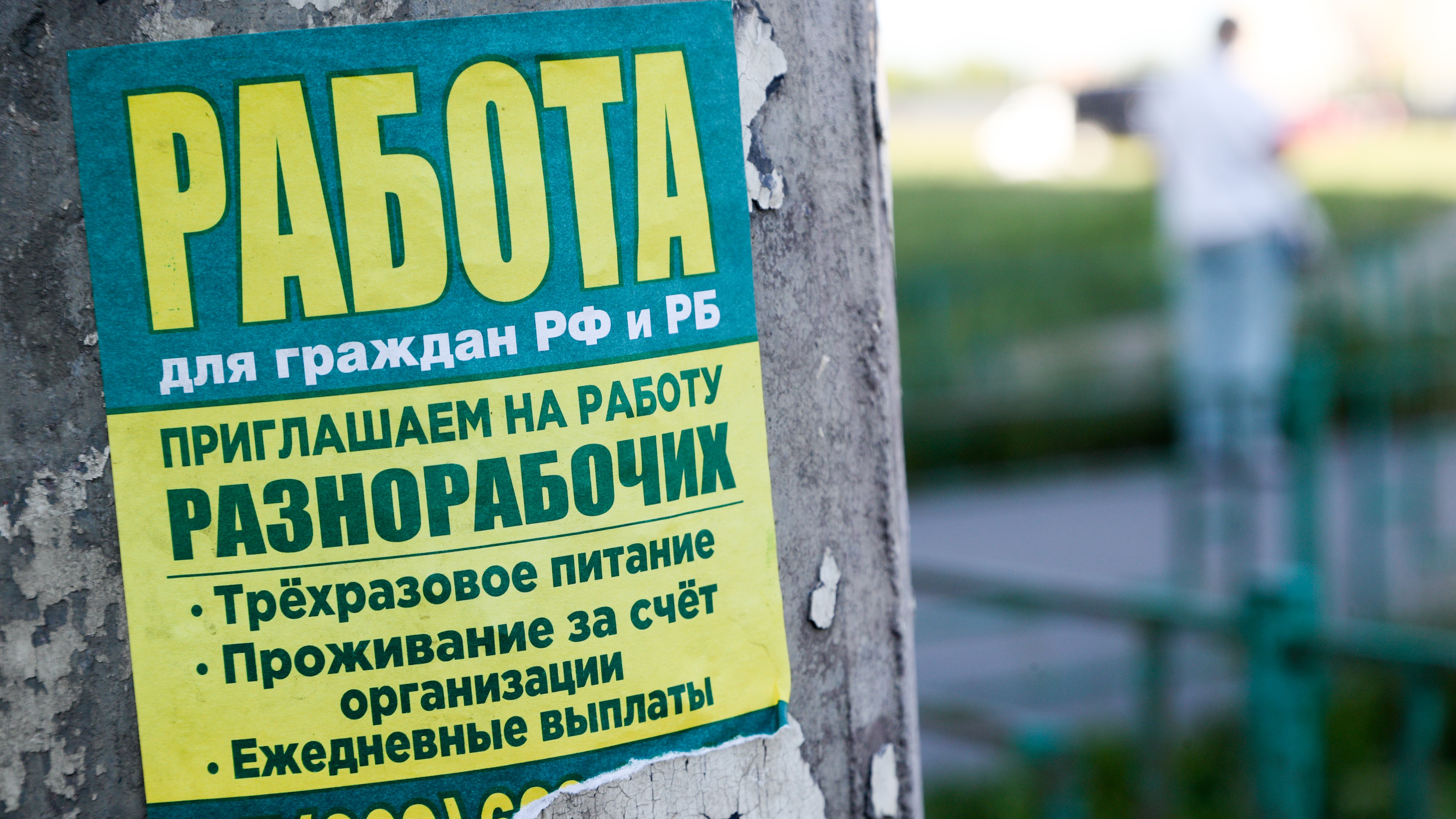Петербург вошел в топ-5 самых перспективных регионов для трудоустройства