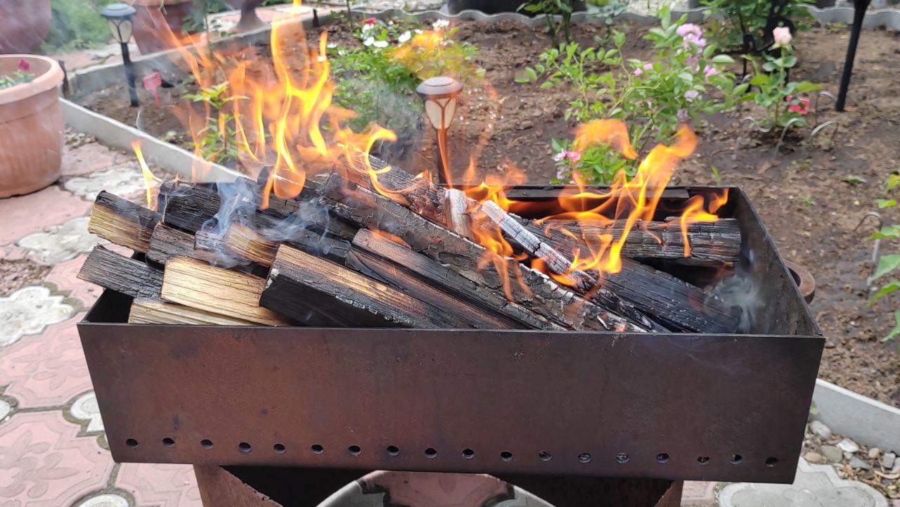 Петербуржцы начинают подготовку к дачному сезону 