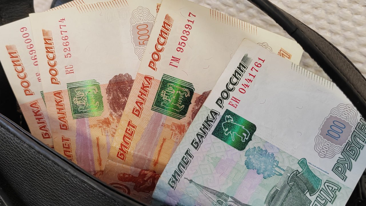 С начала года число дел о взятках в судах Петербурга выросло почти вдвое
