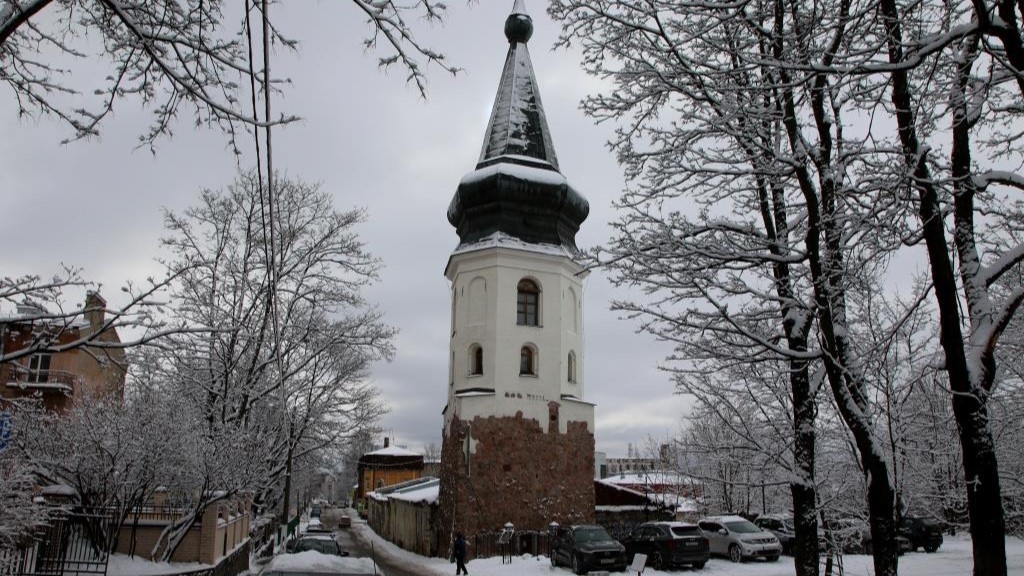 Молодоженам Ленобласти начнут дарить туры по региону с 1 февраля 2026 года