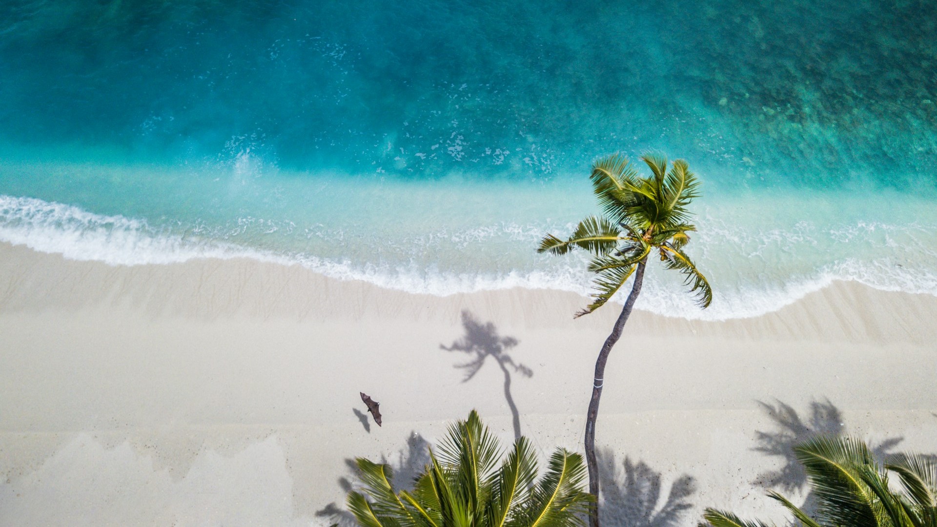 Открываем мир: Лангкави, Мальдивы, Галапагосские острова