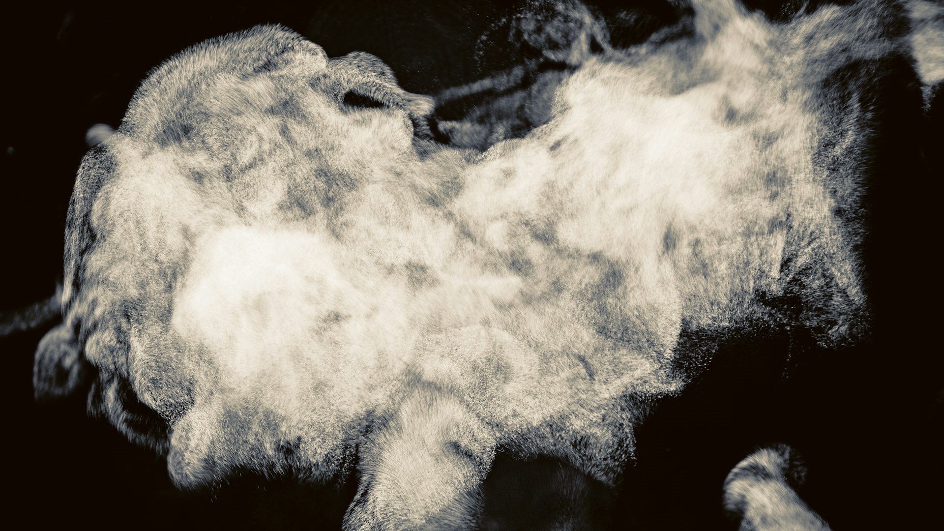 В ЗакСе намерены усилить борьбу с теневым рынком вейпов в случае их запрета